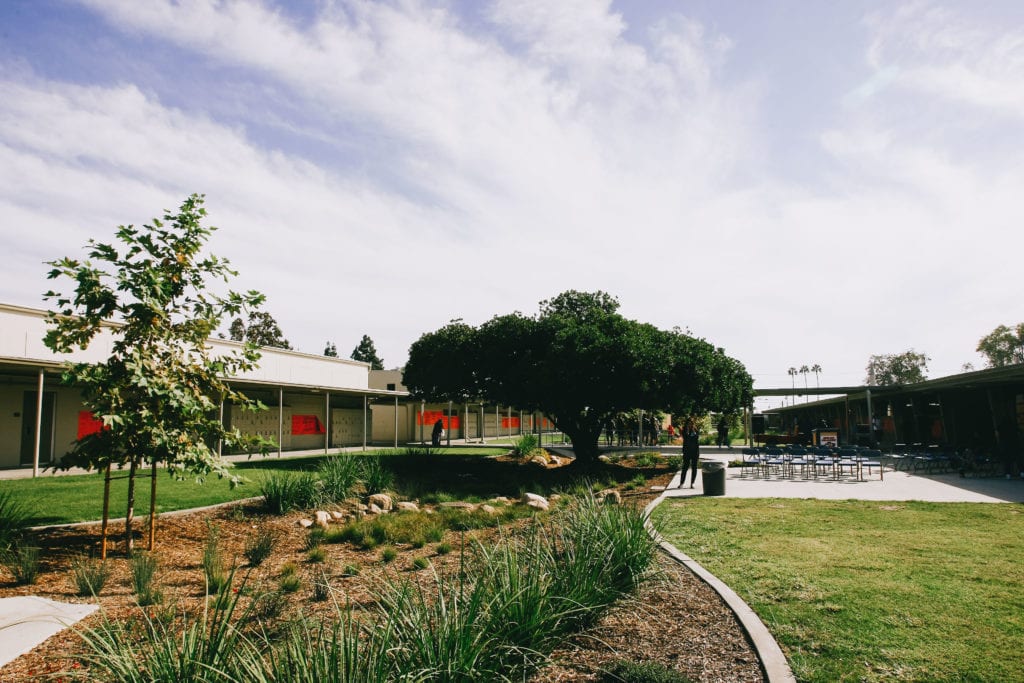 Turning High School Hallways Into Water Wise Gardens Orange