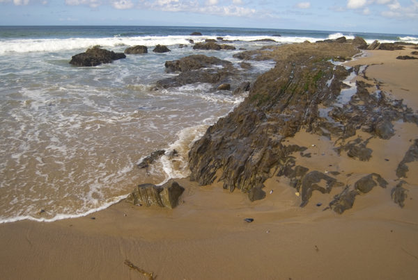 Photo Credits to David Ohman